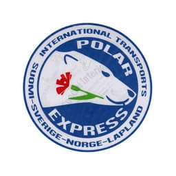 POLAR EXPRESS COURIER & CARGO SERVICES LLC